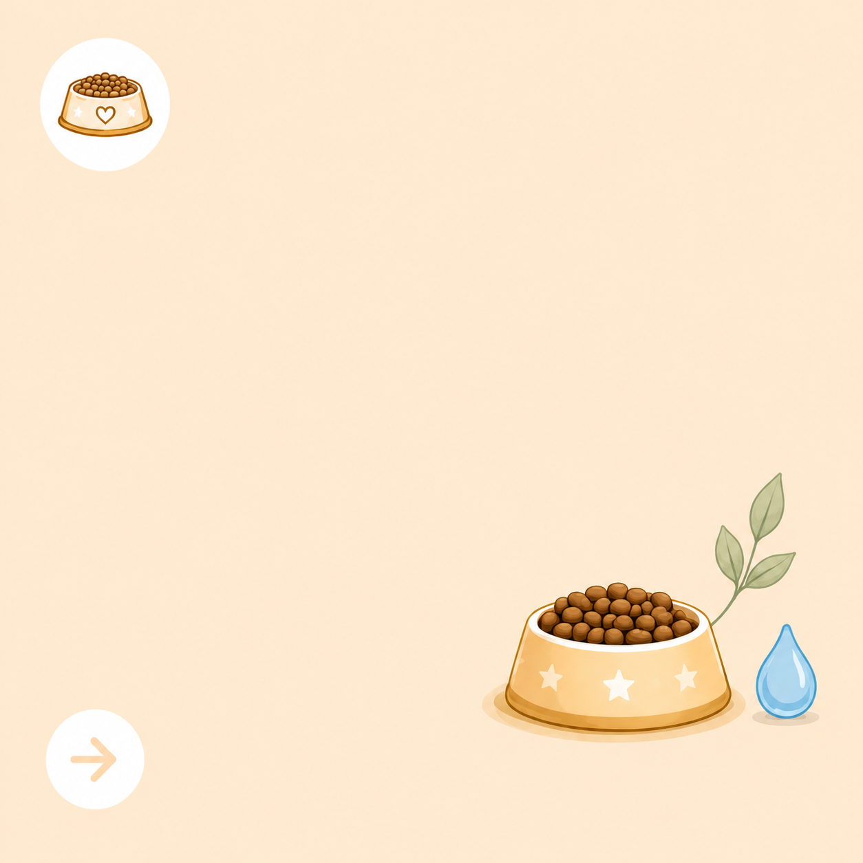 Alimentation